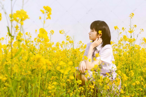 羊耳三稔养生秘籍：揭秘神奇保健疗效