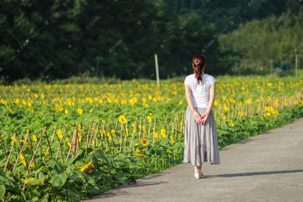 杭城顶级尊享：揭秘最贵按摩店神秘体验